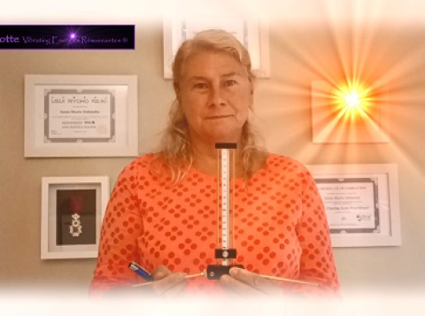 NL BASIS Lecher Antenne - Basisprincipes en Makkelijke Oefeningen online opleiding met live individuele coaching