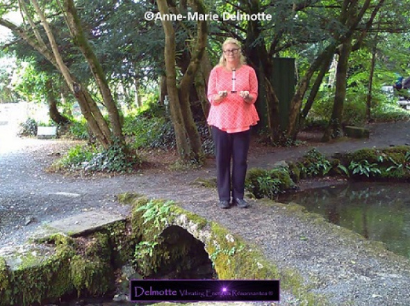 GEO1SILVER Lecher Antenna Geobiology Basic Level 1 + INDIVIDUAL LIVE MENTORING     at 48% discount+ GET FREE Lecher Antenna starter's course