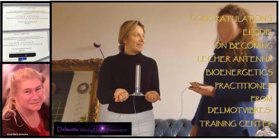 Delmotvibres Lecher Antenna Academy