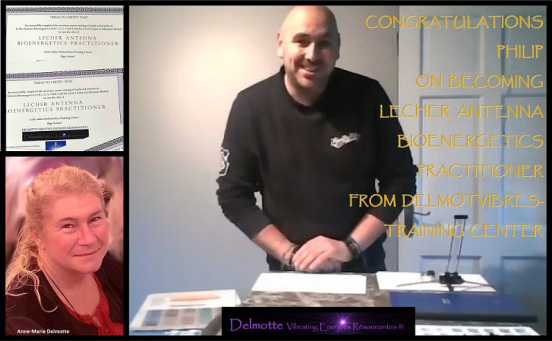Delmotvibres Lecher Antenna Academy